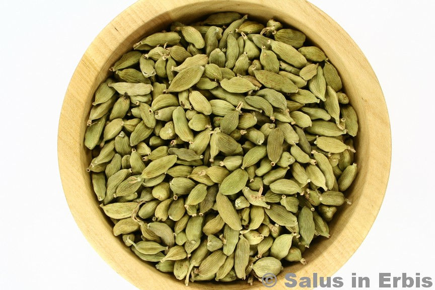 Cardamomo frutti