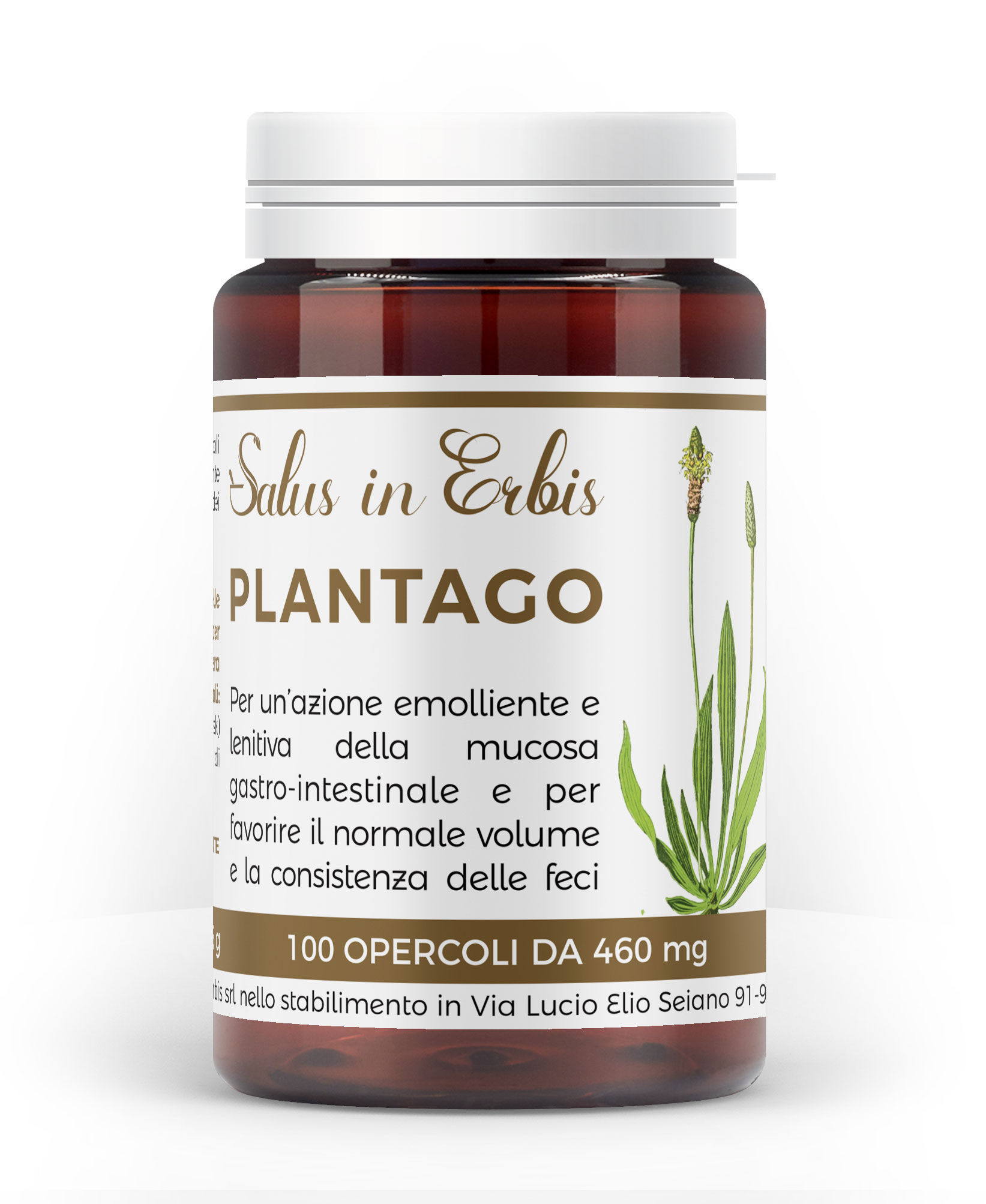 Plantago 100 opercoli