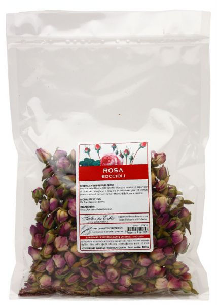 Miniatura: Rosa centifolia boccioli