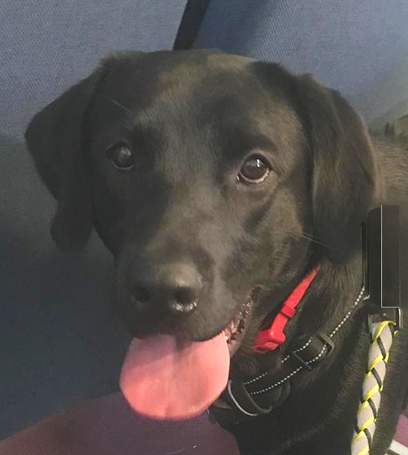 WhatsApp Image 2025-11-21 at 10_edited.jpg