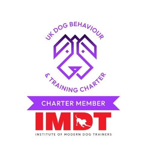 imdt-charter-logo-on white - 500x500 -(1)1729592374.jpg