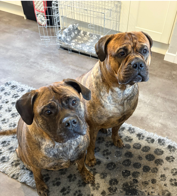 Bruce, Cassie & Wilson.png