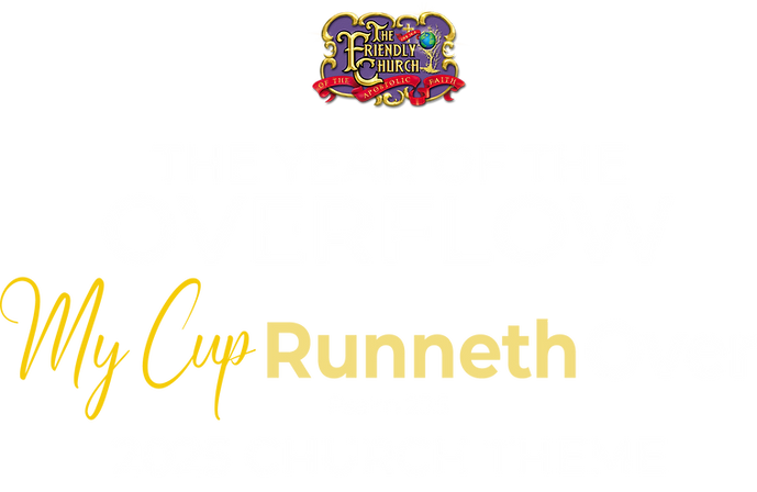 The Year of the Overflow 2025 Theme