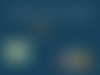 Comment remplir la rubrique Activités et Centres d'intérêt ?