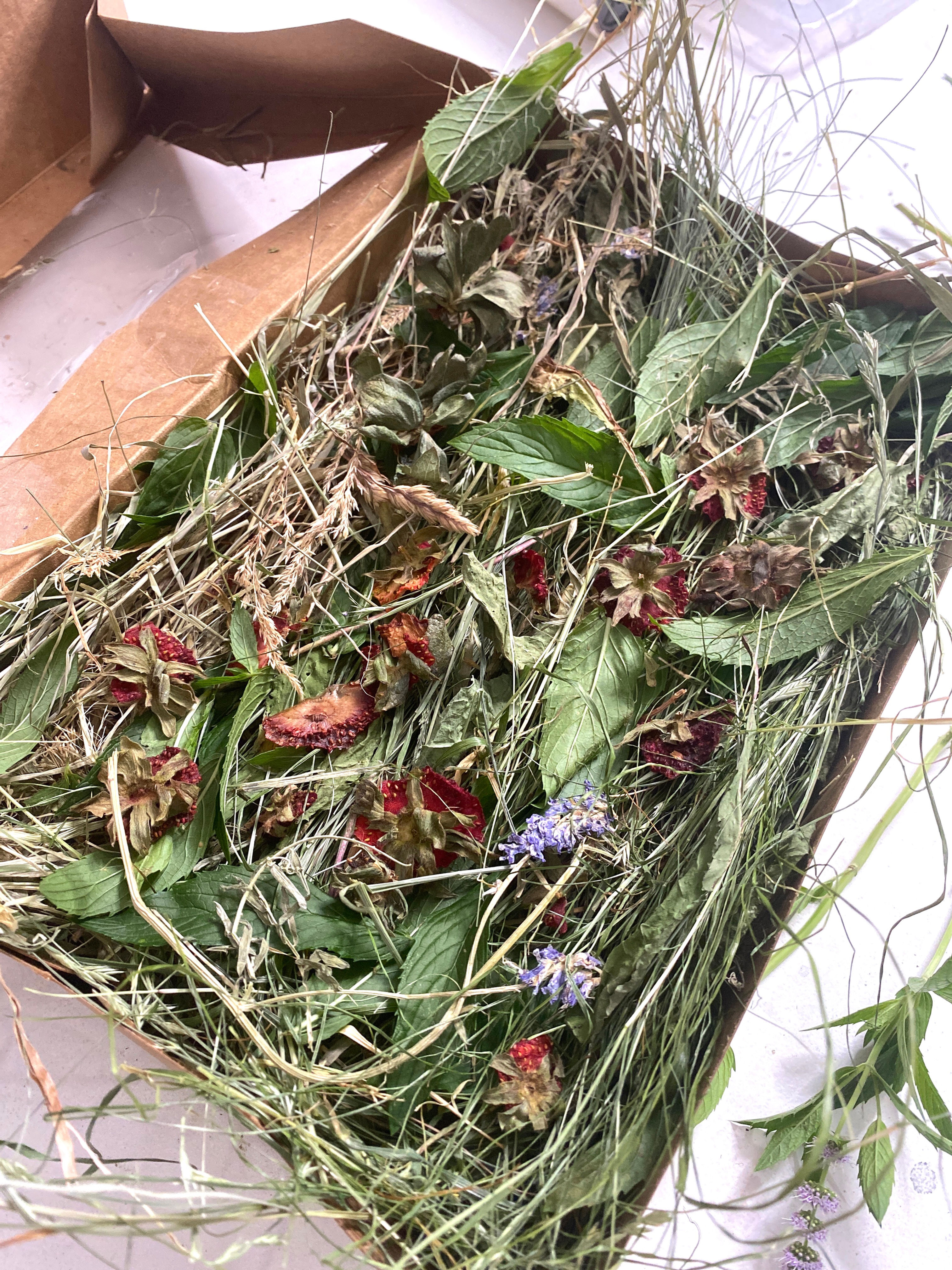 Foraging Box Strawberry Mint
