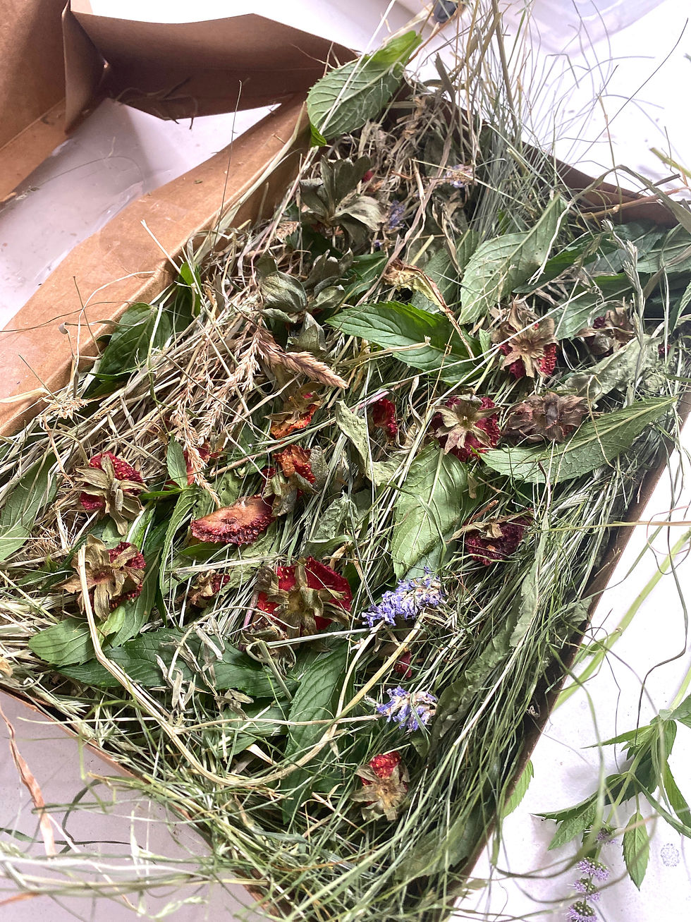 Foraging Box Strawberry Mint