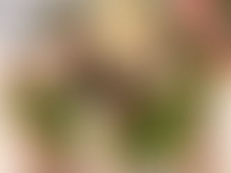 The Top 10 Family Christmas Shorts to Watch this Holiday Season