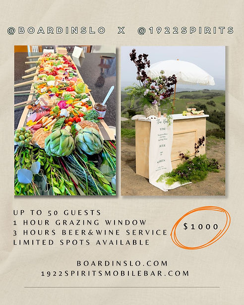 Charcuterie and cheese with a beer and wine service mobile bartender