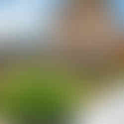 APARTAMENTOS RURALES NAVALIN