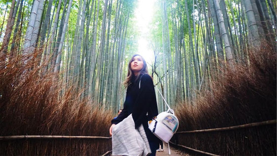 Japan Trip