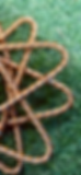 Thumbnail: Copper Star Coil