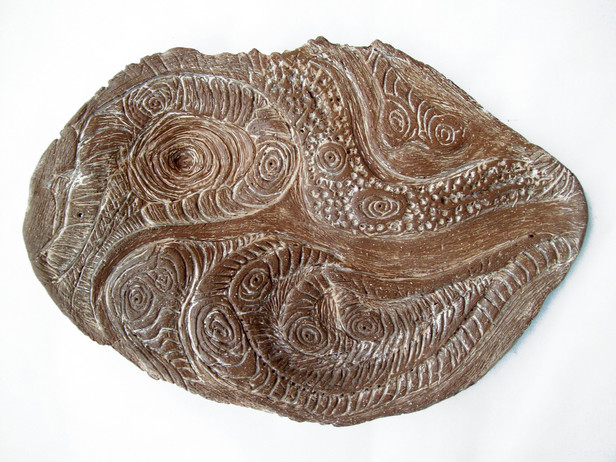 Zooproteus circunvoluta, 2011