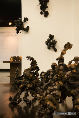 Caminhantes (da série), 2015
