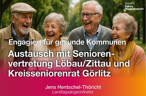 fröhliche Gruppe von Senioren
