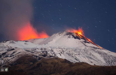 Christelle Souquet Brugnoli14.jpg