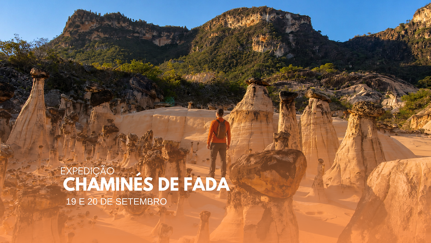 Capas (1).png