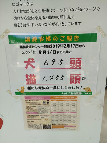 保護犬の譲渡件数