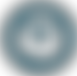 Introducing W.I.S.E.: A Tool for Age-Inclusive Workplaces 