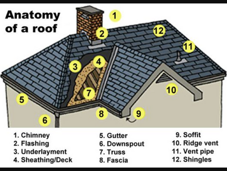 Roofing 101: Anatomy