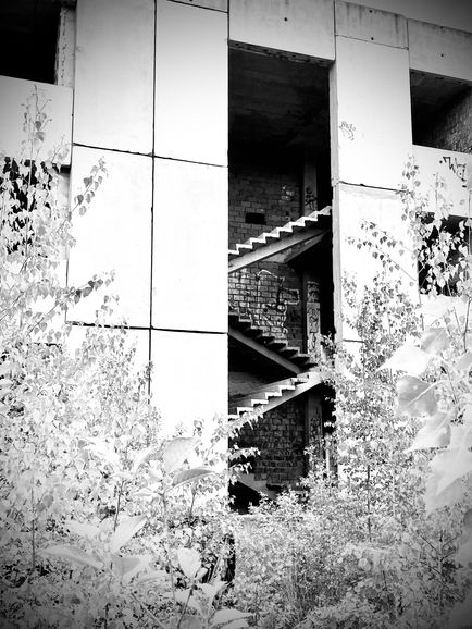 2D235A04-C1A9-4FF3-BD17-D623D42DCF8A