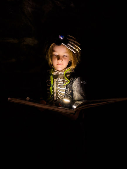 0F5B0C67-4D42-4640-BADD-6C1C0F035404