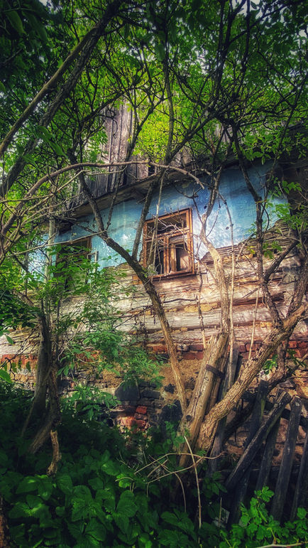 IMG_4123_SnapseedCopy