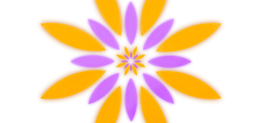 LOGO WITHOUT TEXT COLOR TRANSPARENT.png