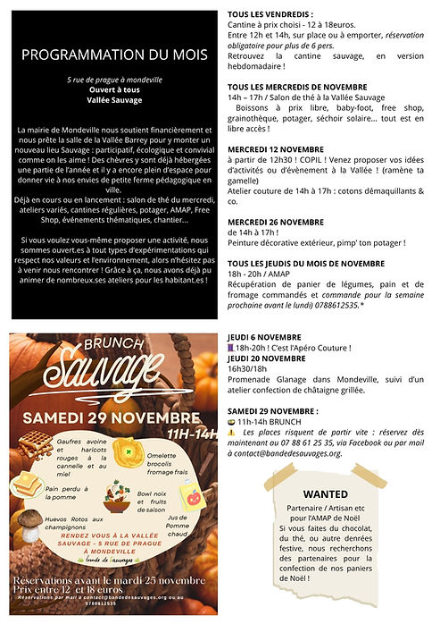 Programme Papier Novembre 2.jpg