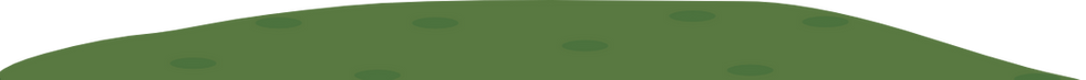 Grass_edited.png