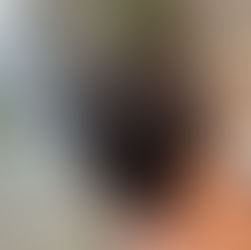 まずはお試し　白髪ぼかし地毛ハイライト