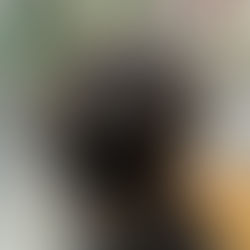 30代白髪の出始め　ワンカラーから地毛ハイライトへ