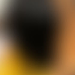 ヘナを何度かやったけど、ハイライトってできるの？