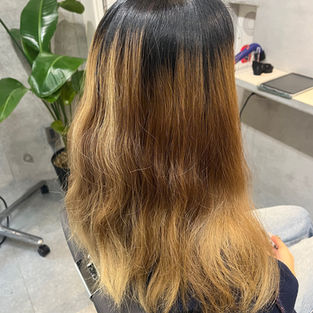 ほぼ全頭ブリーチから地毛ハイライトに移行　1回目