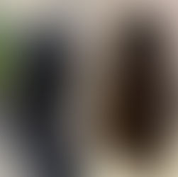 真っ黒ヘナからの卒業。1年かけて変化した髪の記録