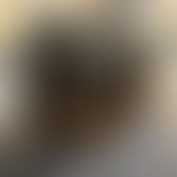 極細ハイライトを求めてようやく理想の地毛ハイライト