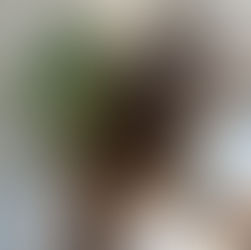 すぐ金髪にならないナチュラル地毛ハイライト