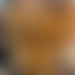 全頭ブリーチから地毛ハイライトへ　1回目