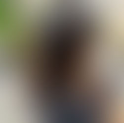 まさかのシンガポールからのご来店　白髪ぼかし