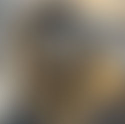 憧れのLA風ハイライトヘアに