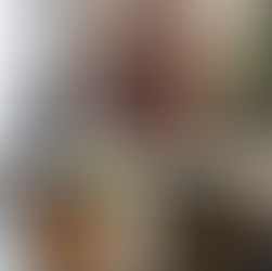 ＋C　最近の地毛ハイライトBEFORE AFTER集