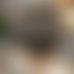 ハイライトを入れて数ヶ月後　一体どうなる？