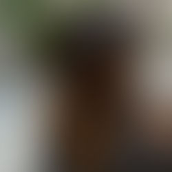 折角半年カラーしてないなら今日から地毛ハイライト