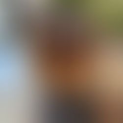 全頭ブリーチからハイライトに移行をお考えの方へ