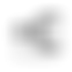 白髪隠し　白髪ぼかし　白髪活かし　簡潔にまとめます