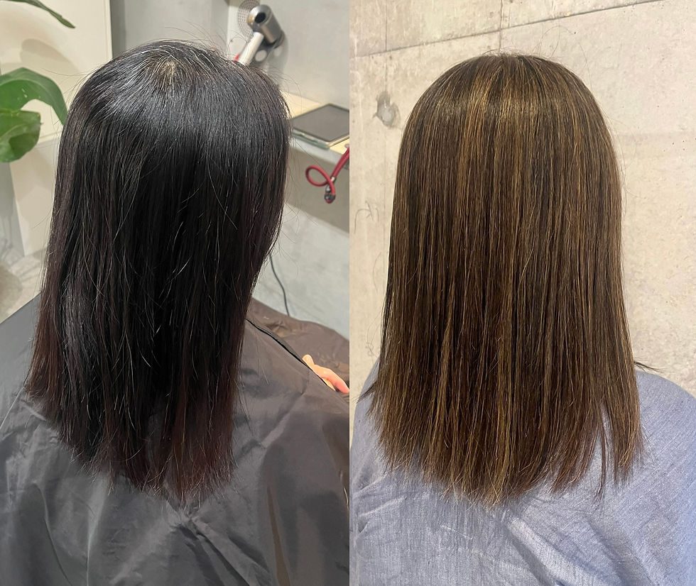 真っ黒白髪染めから地毛ハイライトへ移行