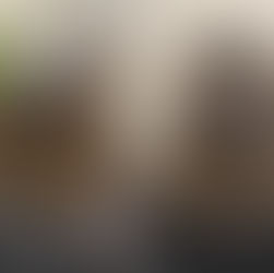 40代白髪染め卒業1年の軌跡