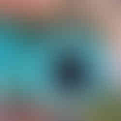 Looking inside uncleaned tank