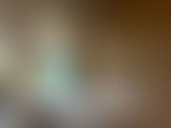 Achieving Paint Perfection: The Ultimate Guide to Mist Coating New Plaster | Pure Perfection Painters