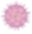 Virus Infections Viruses Mutation Concep