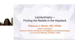 Screenshot 2024-05-15 at 4.43.29 PM 1.png